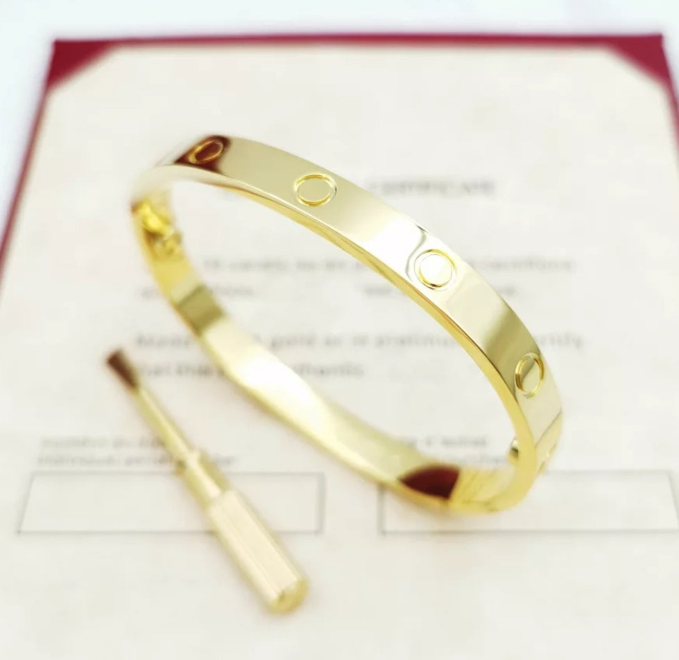 Cartier LOVE bracelet (Forever seriously could mean forever if you lose the  screwdriver! And it's tiny!) | Love bracelets, Cartier love bracelet,  Pandora jewelry